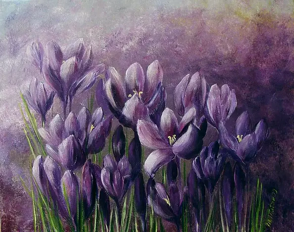 Małgorzata Mutor - crocuses