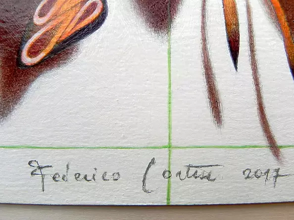 federico cortese - The curl butterfly