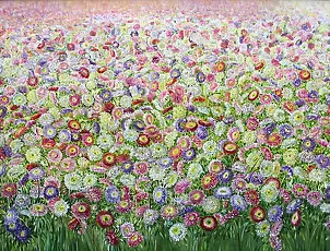 Helga Grzelka - Pole astrów