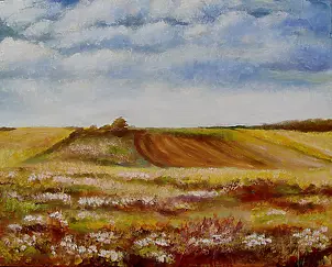 Małgorzata Mutor - Pola roztoczańskie