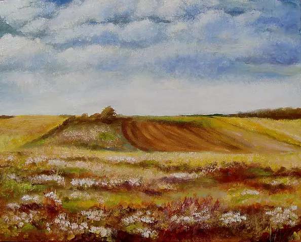 Małgorzata Mutor - fields Roztocze
