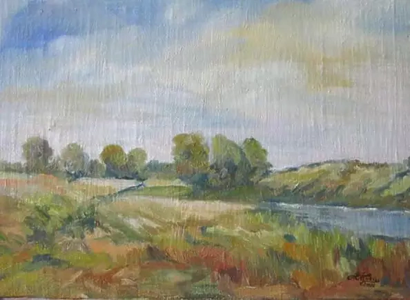 Anna Wąsikiewicz - Kujawskie meadows