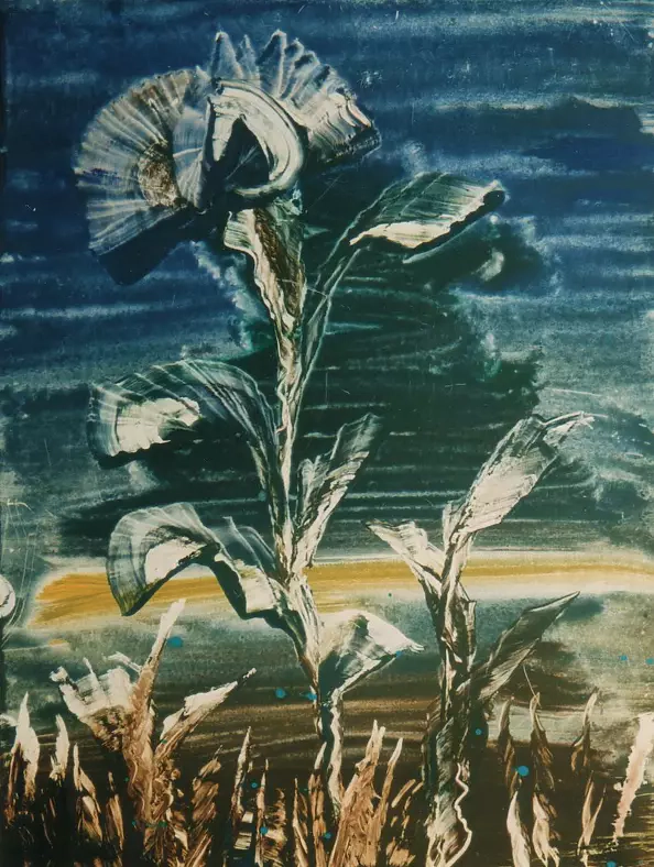 Danuta Tworke - flowers