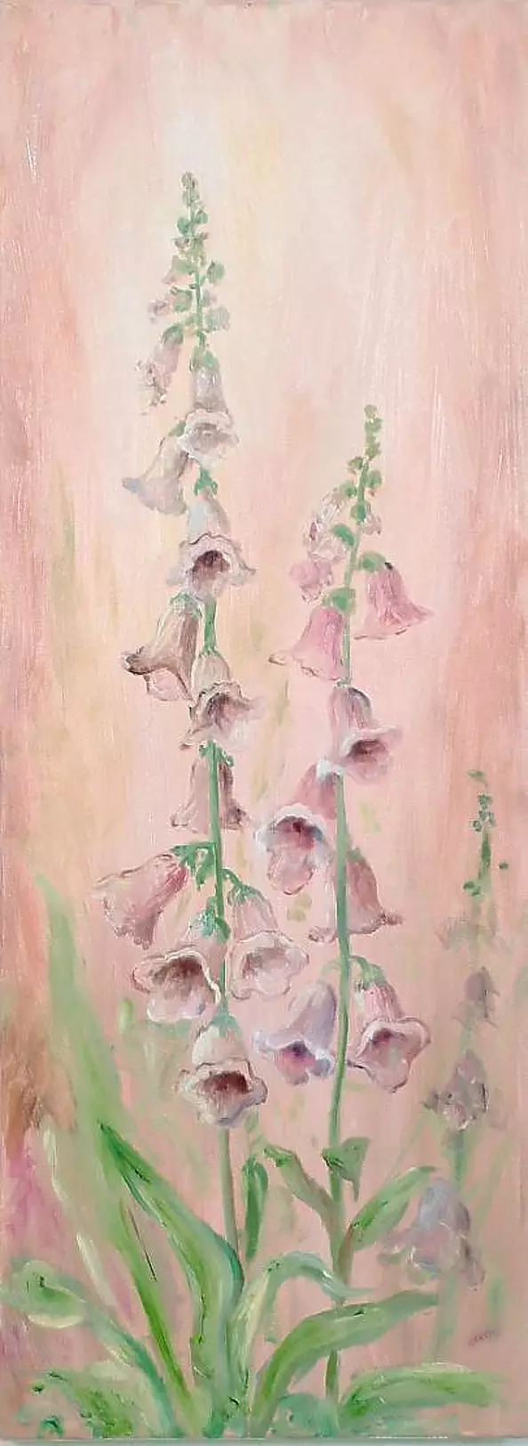 Urszula Nieborak - Naparstnice