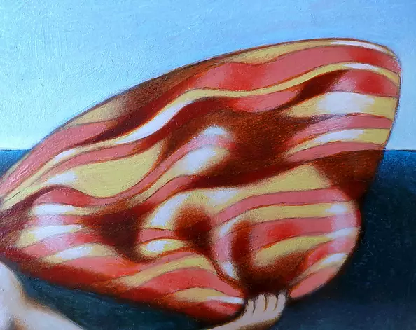 federico cortese - The great beauty