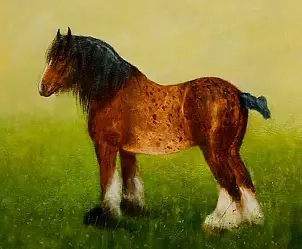 Tadeusz Gazda - horses II