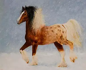 Tadeusz Gazda - KonieIV