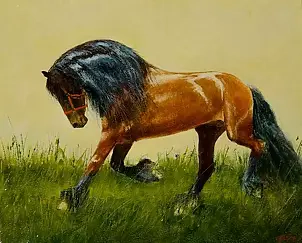 Tadeusz Gazda - horses VI