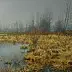 Wojciech Górecki - Nadburzański landscape