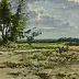 Wojciech Górecki - Nadburzańskie meadows
