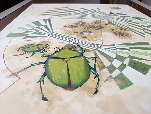 federico cortese - The measurement of space / beetles and bees