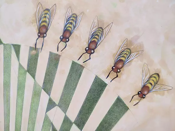 federico cortese - The measurement of space / beetles and bees