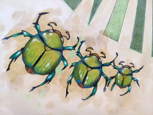 federico cortese - The measurement of space / beetles and bees