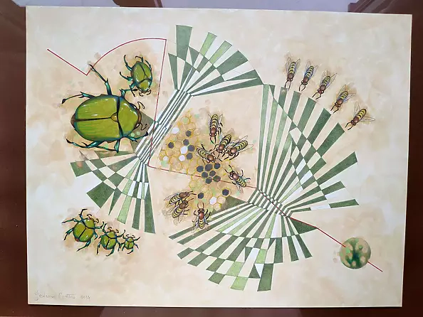 federico cortese - The measurement of space / beetles and bees