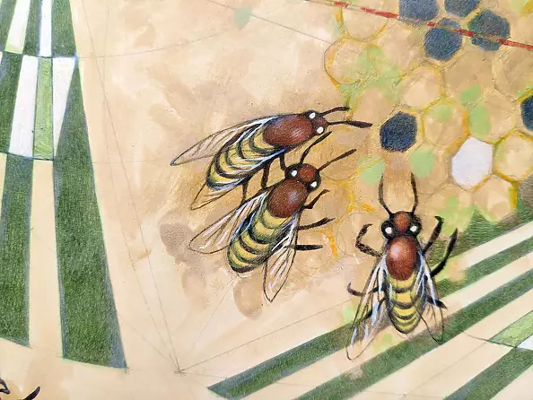 federico cortese - The measurement of space / beetles and bees