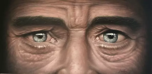 Vorden . - The mirror of the soul