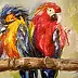 Ewelina Ozóg - pappagalli
