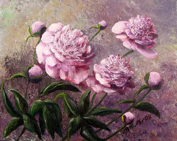 Małgorzata Mutor - peonies