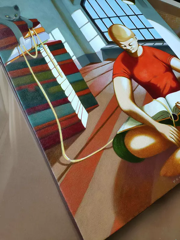 federico cortese - The reading room