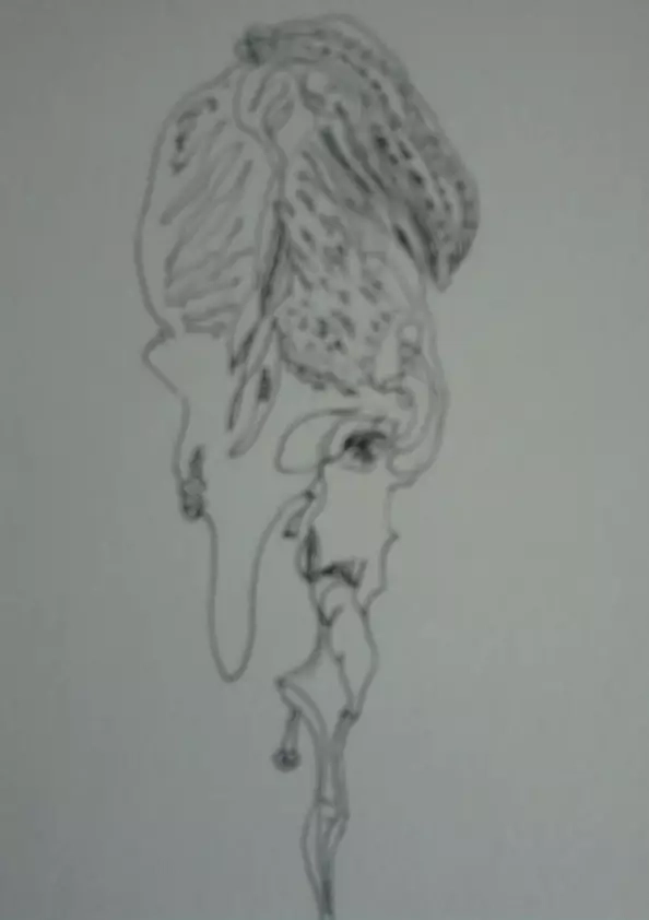 Jacek Kamiński - The rest of my life