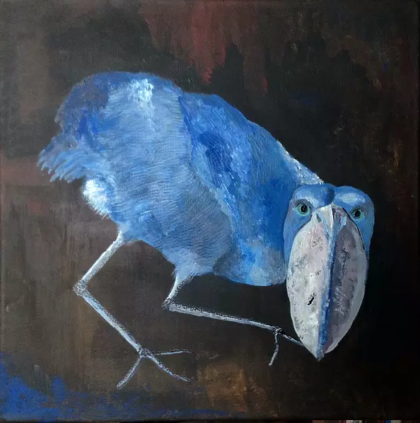 Artur Cieślar - The shoebill - Abu Markub