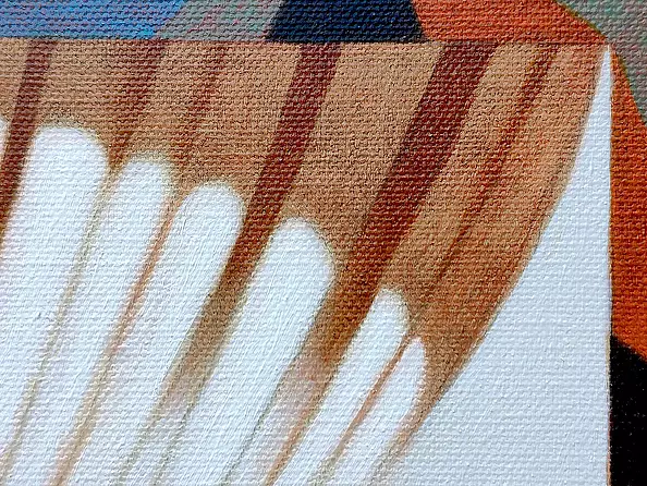 federico cortese - The shop window