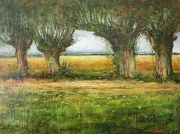 Tadeusz Gazda - willow