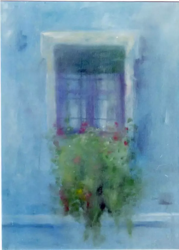 Danuta Tworke - Okno