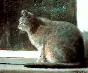 Piotr Pilawa - cat parapet