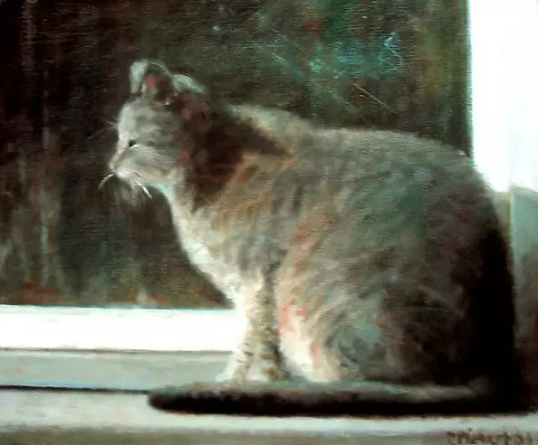 Piotr Pilawa - cat parapet