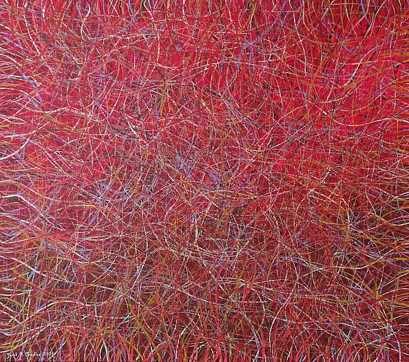 Jacek Siedlec - Thousand Lines