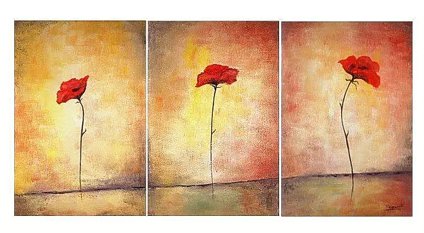 Ewa Gawlik - Maki czerwone