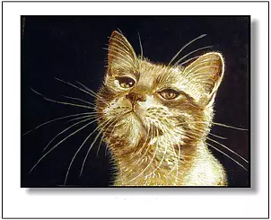 Jolanta Dusza - ToFik