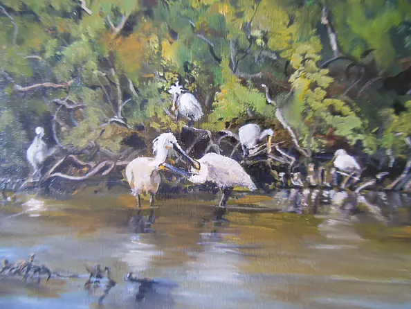 Urszula Wasinska - Toilet warzech - peculiar birds