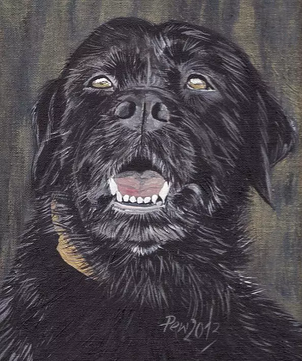 Ewa Pluskiewicz - Tobi