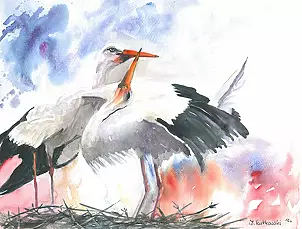Zdzisław Rutkowski - Tokujące bociany