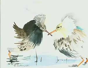 Zdzisław Rutkowski - Tokujące bojowniki