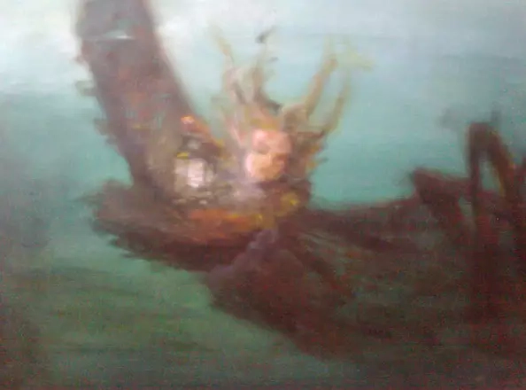 Małgorzata Lesisz - floater