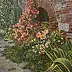 Wojciech Górecki -  Toscane - Mur et fleurs