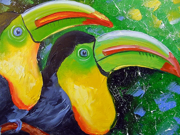 Olha Darchuk - Toucans