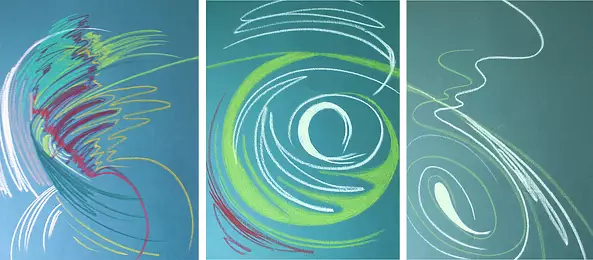 Ewa Widera - Transpozycja krajobrazu