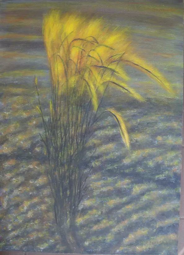 Antonina Radzięda - Grass at dawn