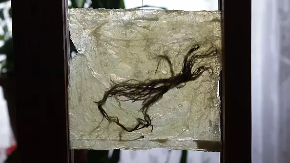 Bożena Mozolewska - Grasses