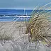 Andrzej Siewierski - Grass in the wind on the Baltic Sea.
