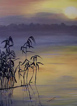   - Grass on the water with sunset