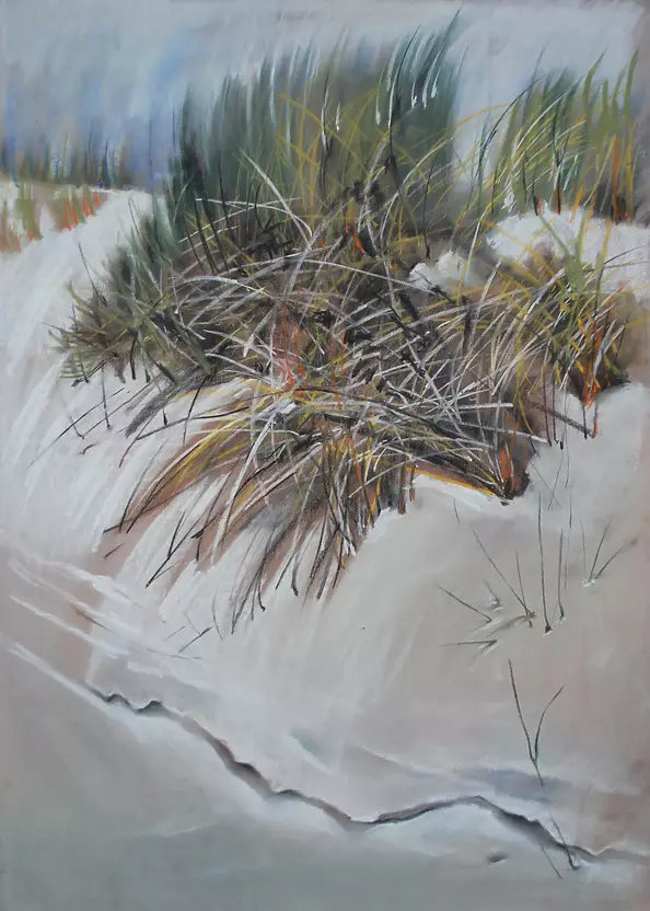 Andrzej Siewierski - Grass on the dune.