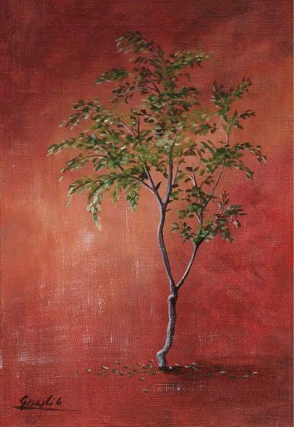 Ewa Gawlik - Drzewo