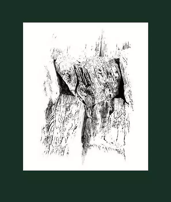 Grażyna Majewska - Drzewoczas IV