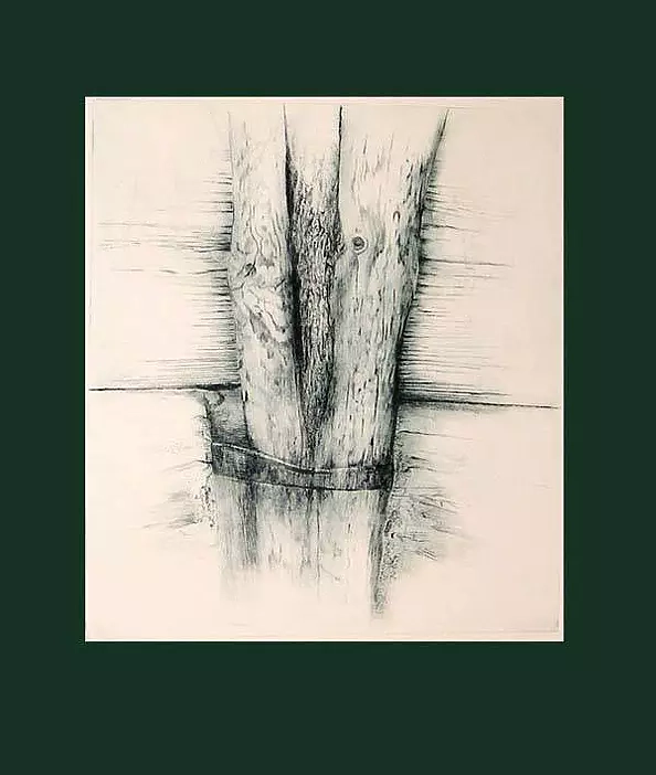 Grażyna Majewska - Drzewoczas VII