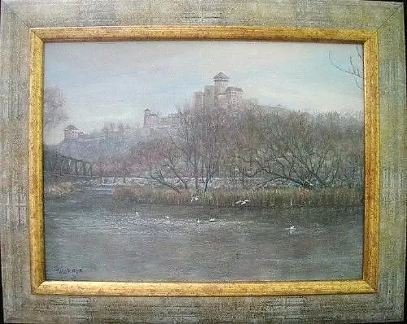 Milos Pucek - Trencin city